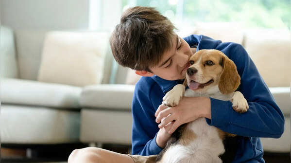 5 dog breeds that quietly protect their families