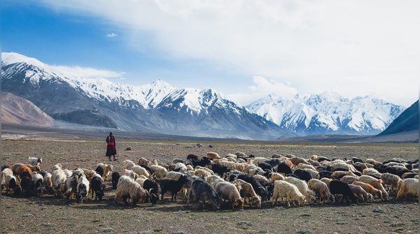 Kaksang La, Ladakh (17,841 ft)