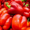 Chilli pepper