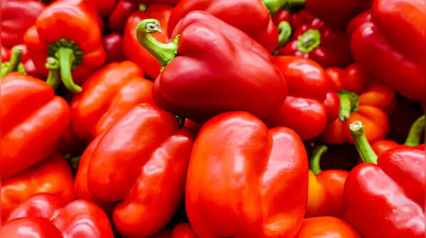 Chilli pepper