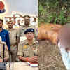 Article image for: ‘He trapped my mother for 18 years’: UP man arrested for killing 'pardesi baba'
