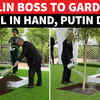 Article image for: Putin The Worker? <i class="tbold">russia</i>n President Caught Doing “Heavy Labour” With Shovel In Hand | WATCH