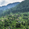  Tirthan & Sainj Valleys, Himachal Pradesh