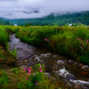Ziro Valley, Arunachal Pradesh