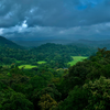 Article image for: Coorg (Kodagu), Karnataka