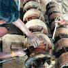 Article image for: Drinking water supply to resume in Madhuban after 38-day wait