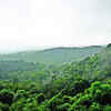 Article image for: Chikkamagaluru prepares for upcoming monsoon crisis