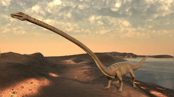 Tanystropheus