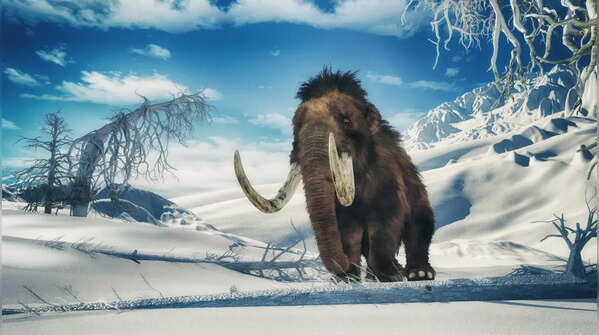 Woolly mammoth