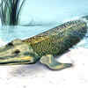 Tiktaalik