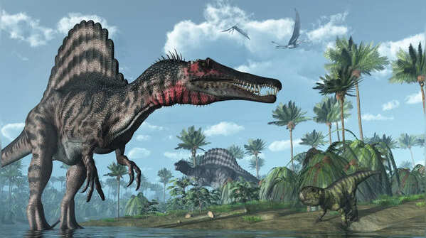Spinosaurs