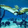 Anomalocaris
