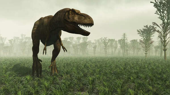T. rex