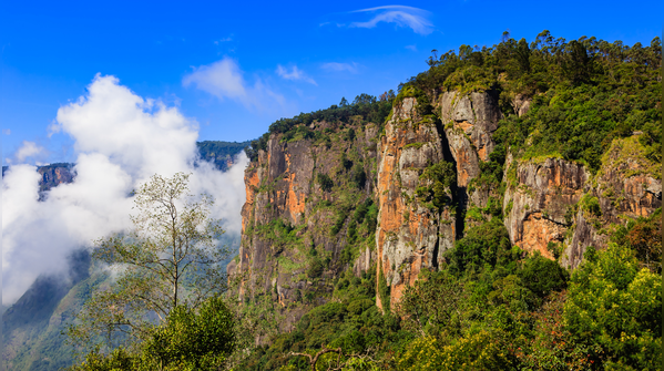 Kodaikanal, Tamil Nadu