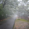 Mahabaleshwar, Maharashtra  