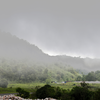 Mawsynram, Meghalaya  