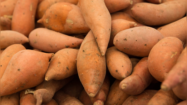 Sweet potato