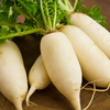 Radish
