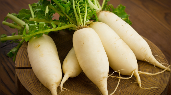 Radish