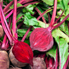 Beetroot