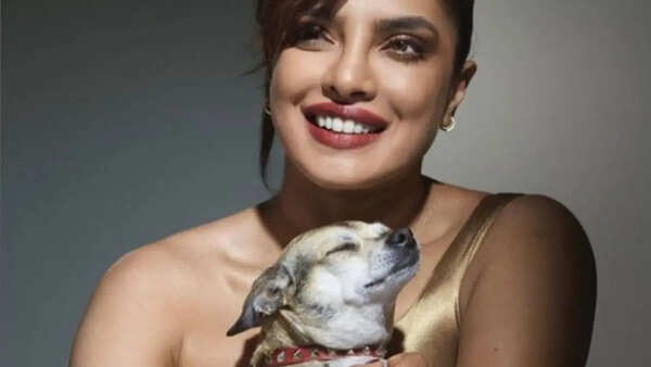 Priyanka Chopra Photos