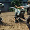 Velociraptor
