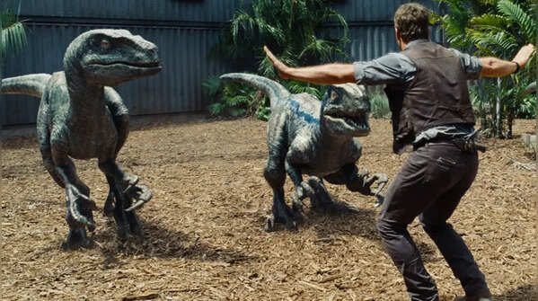 Velociraptor