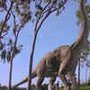 Brachiosaurus