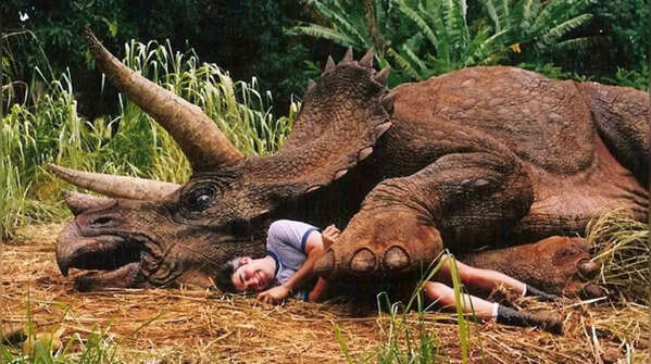 Triceratops