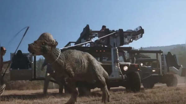 Pachycephalosaurus