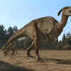 Parasaurolophus