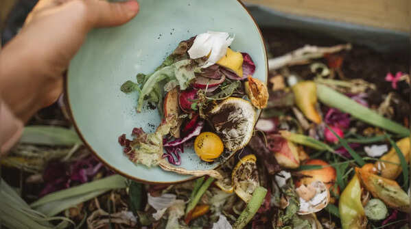 Throw them in the compost