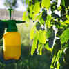 Make fungicide