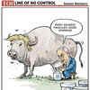 'Udder nonsense'