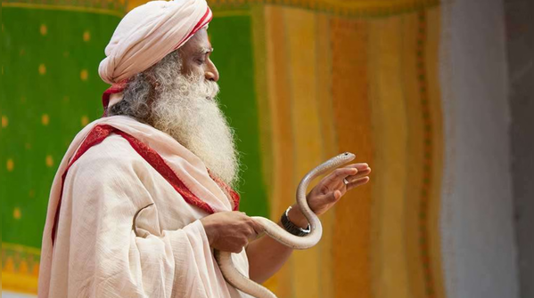 There's a story Sadhguru tells that stops people mid-conversation