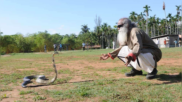 When he caught a 12-feet long cobra during school days