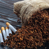 ⁠If oral cancer is detected at an early stage through symptoms like gum bleeding, white patches, or non-healing sores, how much can timely treatment improve survival and recovery?