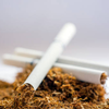 Does bad breath caused by tobacco use sometimes signal something more serious happening inside the mouth or gums?