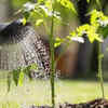What occurs during heatwaves?