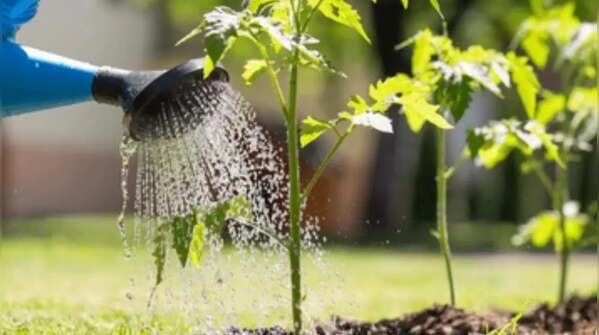 What occurs during heatwaves?
