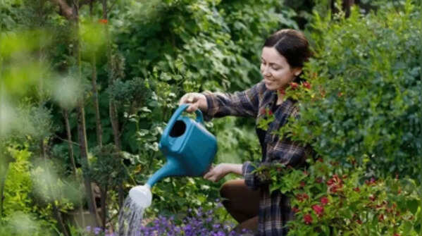 Can watering at night be damaging?