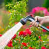 Watering in the middle of the day