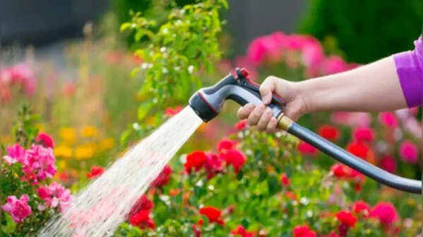 Watering in the middle of the day