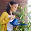 Article image for: Morning vs evening watering: Which is better for your <i class="tbold">plants</i> during extreme summer heat and why it matters