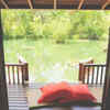 Cover the roof using jute bags or bamboo mats