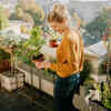 Article image for: Grow some potted <i class="tbold">plants</i> on the rooftop