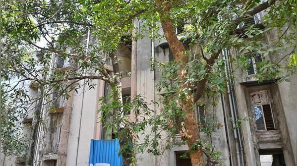 After decades, Kalina colony sees final exit