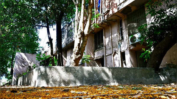 Historic Air India staff colony empties out