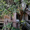 The last goodbye to Air India’s Kalina colony