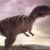 Carcharodontosaurus
